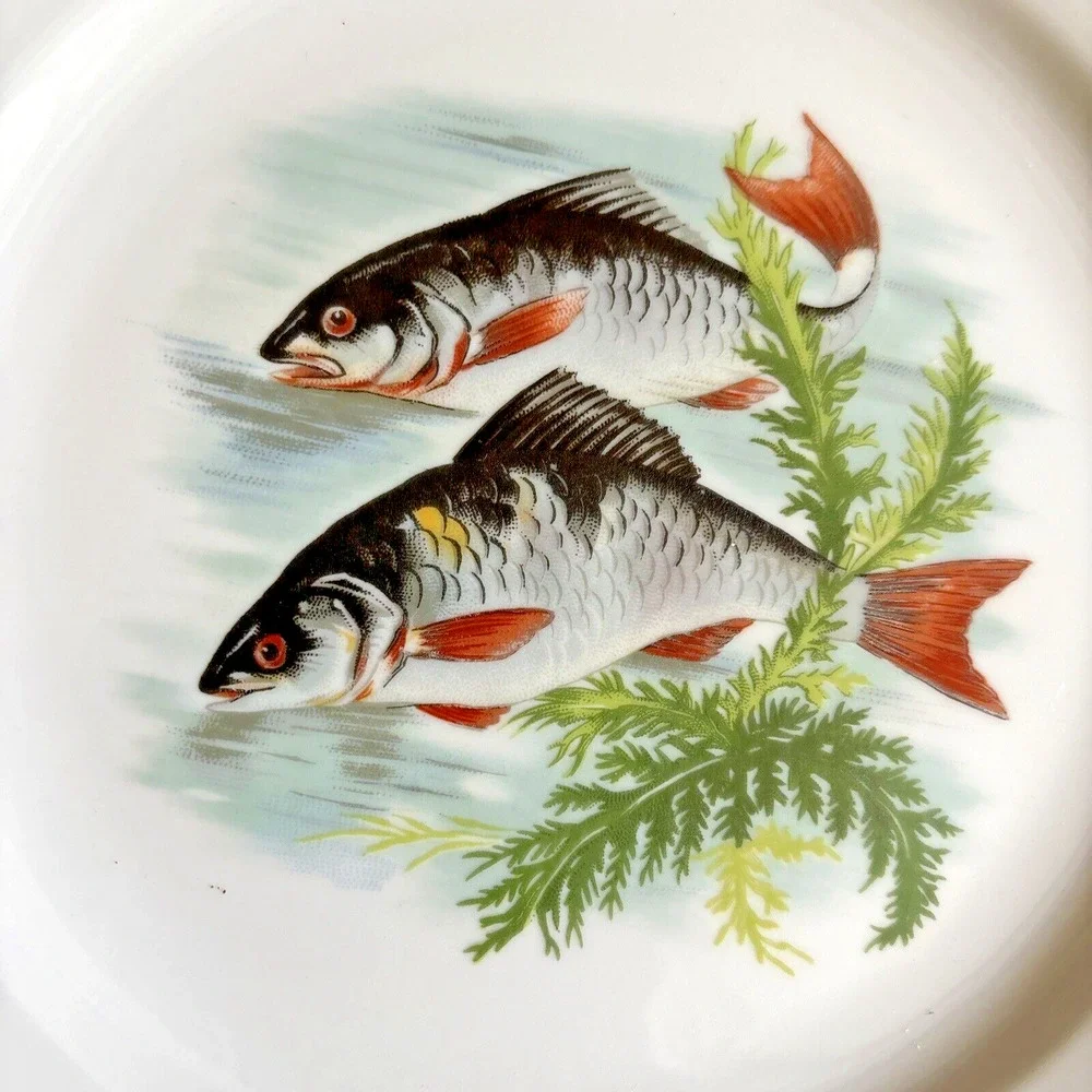 Hand Painted Fish Pattern Porcelain Dinner Plate Made In France Gold Gilt Rim